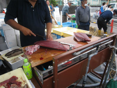 カツオ船の漁況