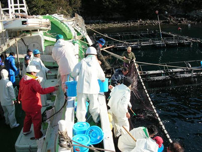 カツオ船の漁況