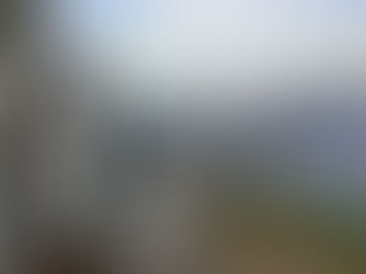 カツオ船の漁況