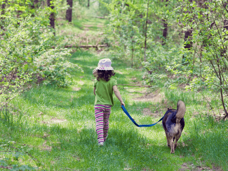 The Dog-Walk That Parenting Can Be