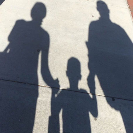 Wildflower Parent: Relationships at the Heart of Montessori