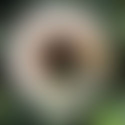 Burning Toast is Learning