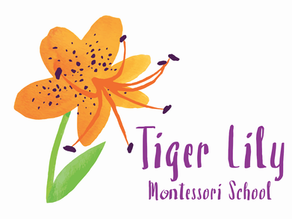 Tiger Lily Montessori: Bringing Southern Roots to New England