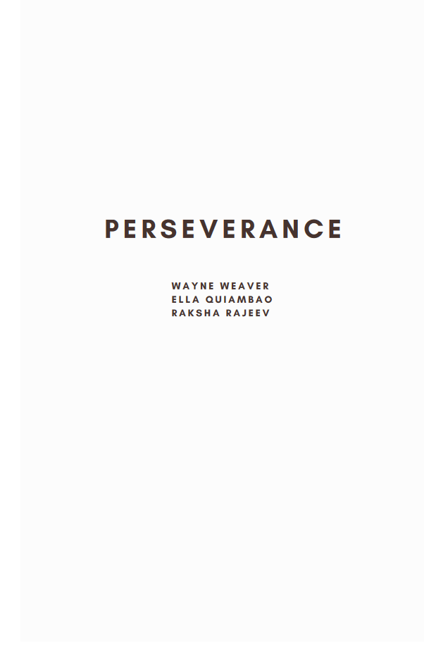 Perseverance