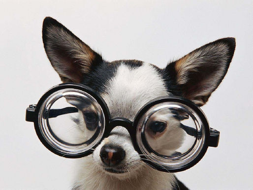 Fashion Trend: Binary Glasses