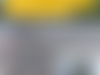 Informativo Hídrico do Município de Plácido de Castro - Rio Abunã