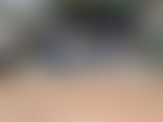 Exército Brasileiro realiza troca de comando em Plácido de Castro