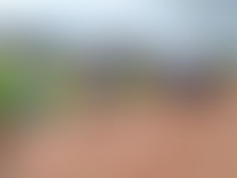 Após quatro dias de folia Prefeitura de Placido reinicia coleta de entulos