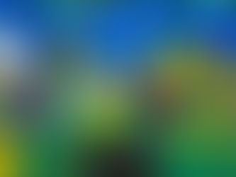 Mesmo com tempo chuvoso, Plácido comemora com grande estilo seu 47⁰ Aniversário