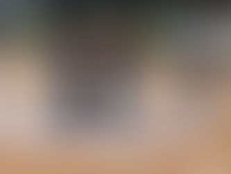 Secretaria do Meio Ambiente acelera ornamentação da praça de V. Campinas