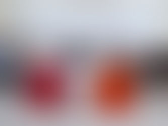 Visando qualidade profissional IEPTEC reúne com empresário locais