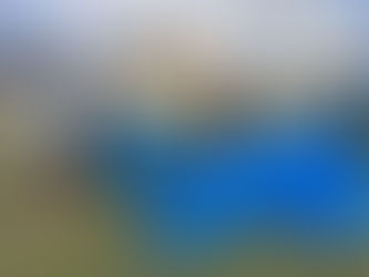 Esporte em ação: equipe inicia preparativos para o Campeonato Municipal de Futebol de Campo