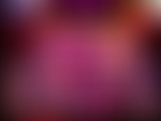 Dia 20 de Maio, 2ª Edição do Show de Calouros de Plácido