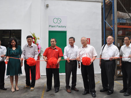 Our Mass Production Facility is now OPEN! 