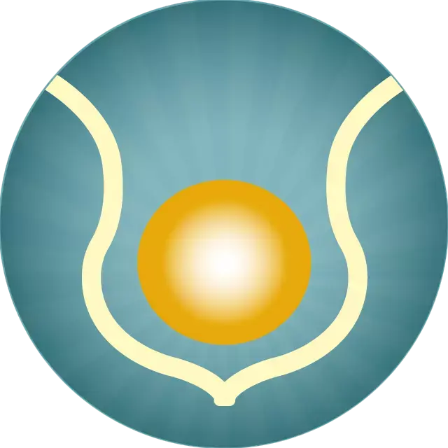 Chakra stemvorken