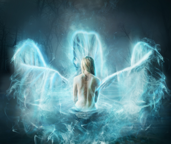 Soul Body Fusion