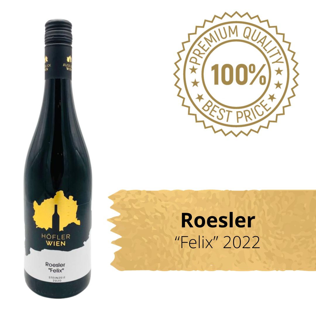 Roesler "Steinzeit" 2020