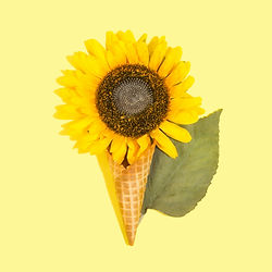an ice cream with a sunflower