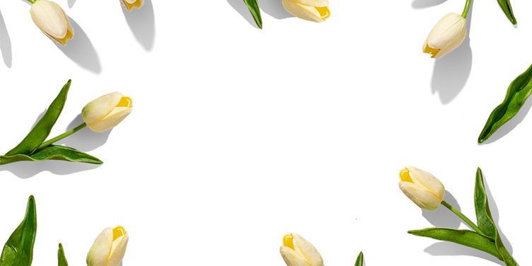 Spring Background_edited_edited.png