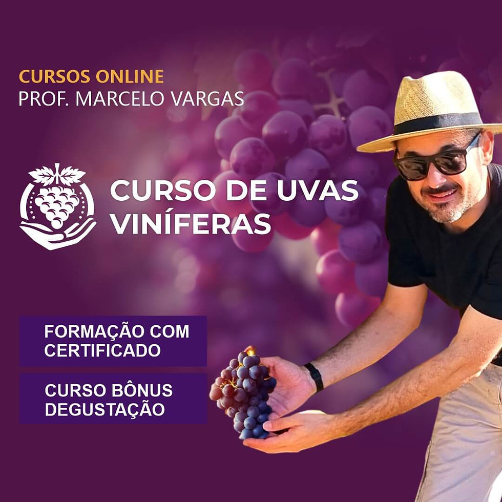 CURSO UVAS VINÍFERAS