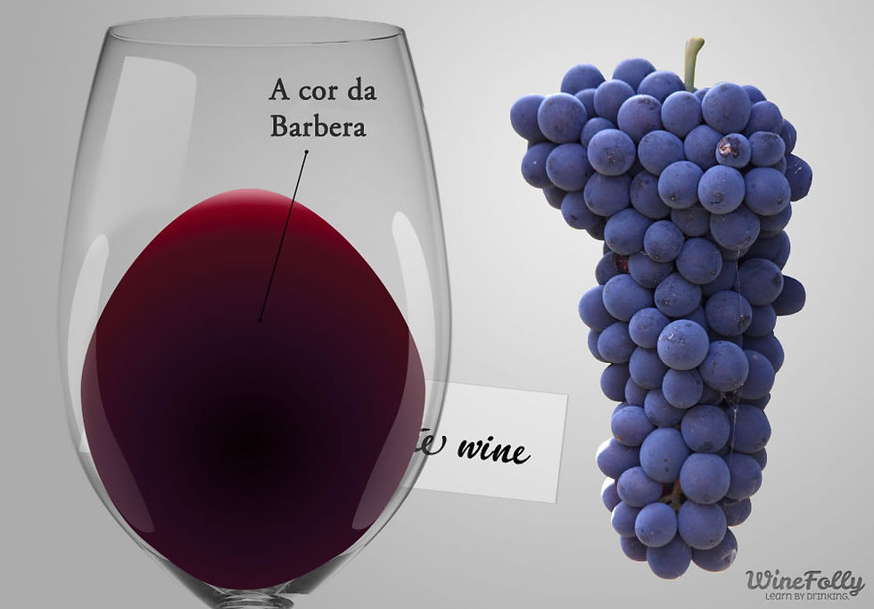 A cor do vinho produzido com a Barbera (Foto: winefolly.com)