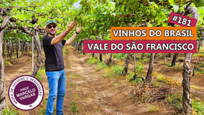 PODCAST aula 181 - Vinhos do Brasil: Vale do São Francisco - Prof. Marcelo Vargas