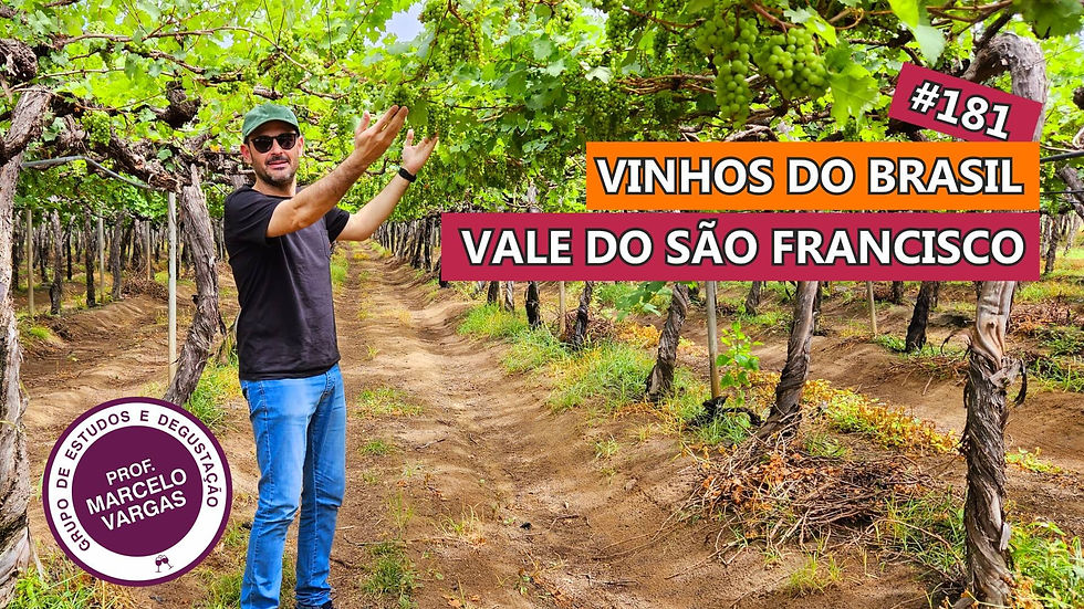 PODCAST aula 181 - Vinhos do Brasil: Vale do São Francisco - Prof. Marcelo Vargas