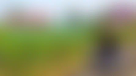 PODCAST aula 182 - Uva Merlot: características e estilos - Prof. Marcelo Vargas