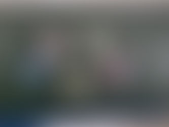 SÚPER DICTADO EXPLOSIVO