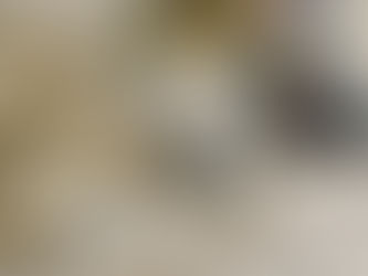 Luxury Rehab Sanctuaries: Where Mental Health Thrives