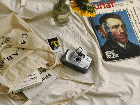 Luxury Rehab Sanctuaries: Where Mental Health Thrives