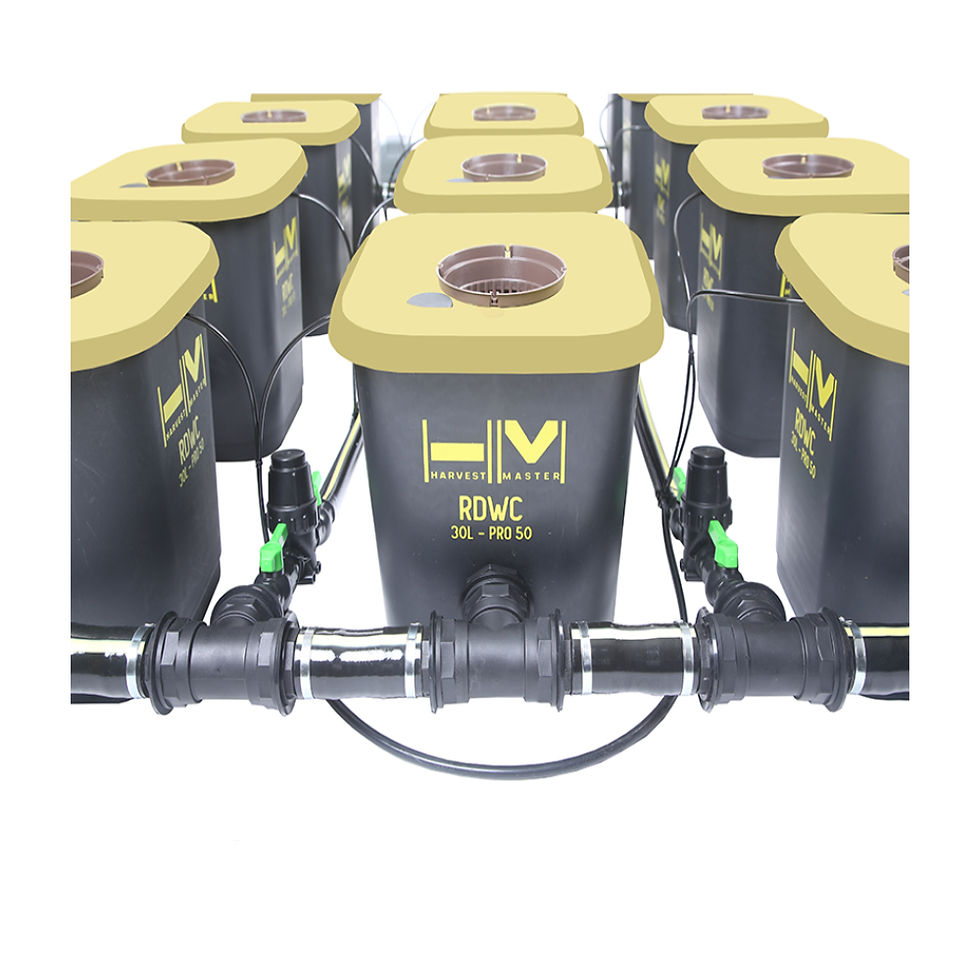 Thumbnail: Harvest Master PRO RDWC 12