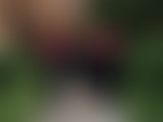 Cracking Ivy League Admissions as a Pakistani