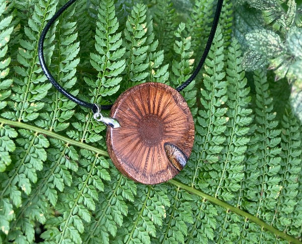 Thumbnail: Banksia pendat