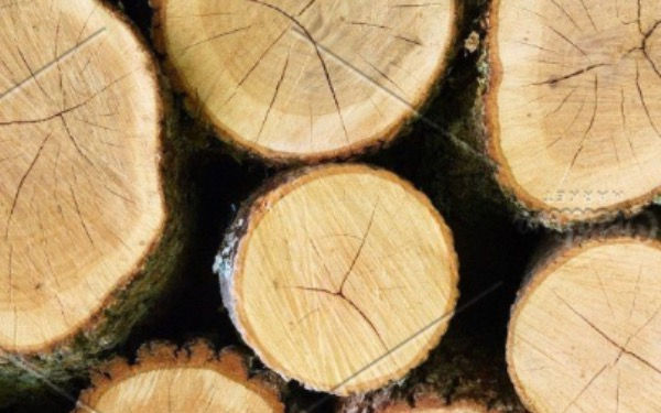 Thumbnail: Eco earrings - Oak