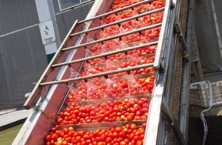 Food Grade Products.jpg