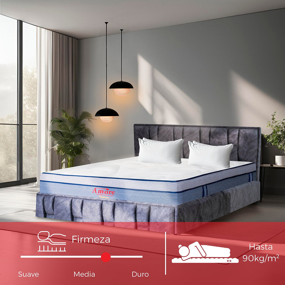 Miniatura: COLCHÓN PLATINUM