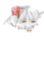 Bride Veil