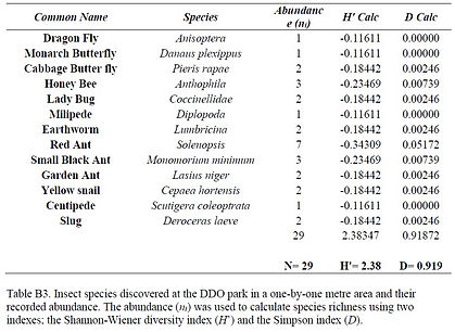 Insect Species Table