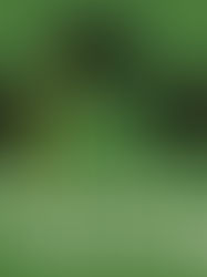 Une étape importante pour nos dirigeants