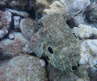 GOPR0232.JPG