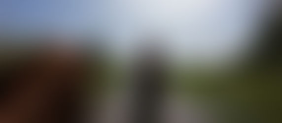 The Grumpy Gaucho: The Pantanal by horseback