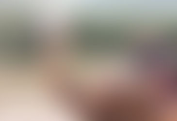 Ollies and Eles (Post 2)