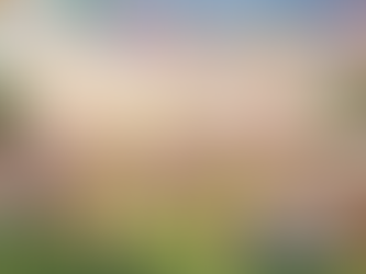 Découvrez les activités dynamiques de l'Association Familles Rurales