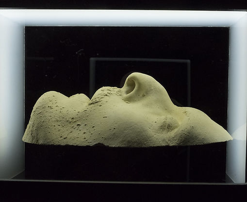 Universum | International Photography Festival