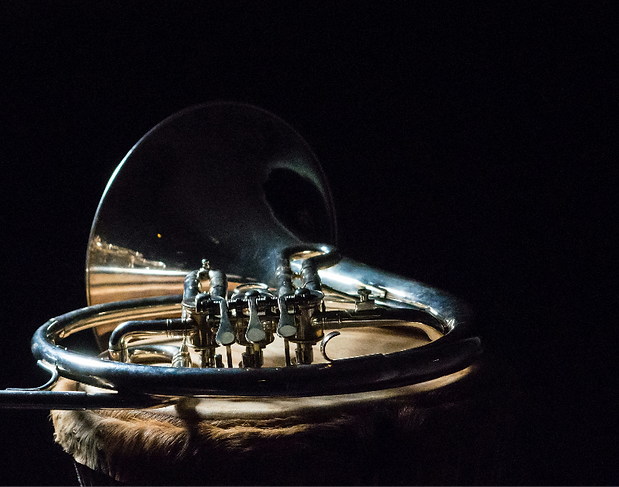 A french horn.