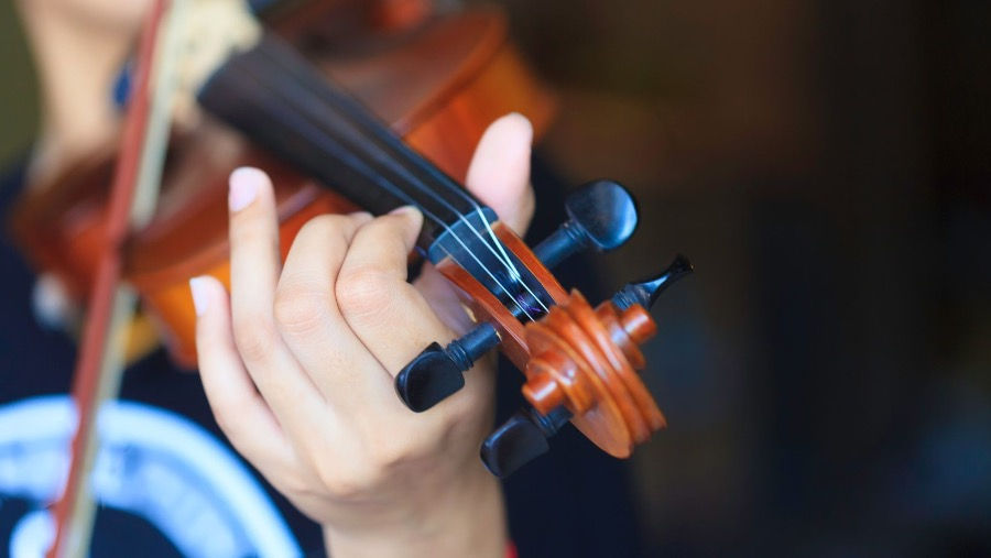 Online Violin Lessons with a tutor at MusicTutorOnline
