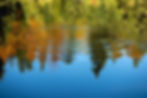 reflection-of-the-autumn-forest-in-the-mirror-of-t-2023-11-27-05-22-10-utc.jpg
