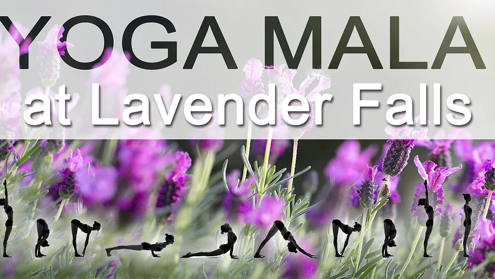 Yoga Mala at Lavender Falls to Benefit Harmony House