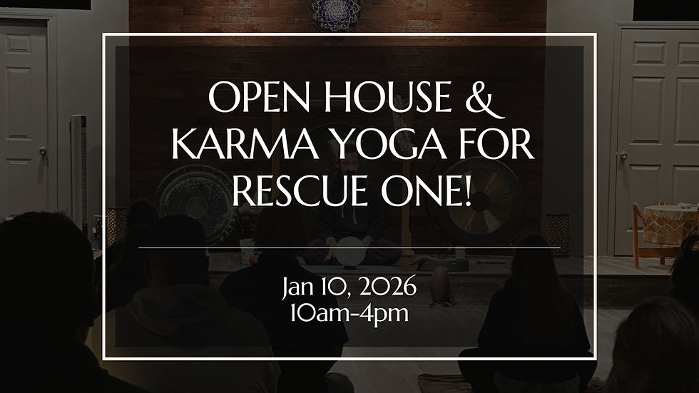 Sage Studio’s New Year Wellness Open House + Rescue One Karma Yoga Project